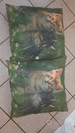 coppia di cuscini con copricuscino Bassetti