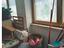 Immagine 12