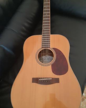 Chitarra acustica James Neligan NA 30

