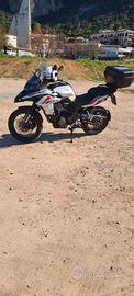 benelli trk 502x 