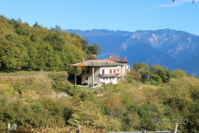 MASO CON VISTA IMMERSO NEL VERDE