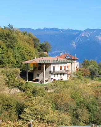 MASO CON VISTA IMMERSO NEL VERDE