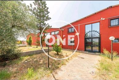 Immobile di 1040 m² a Aprilia