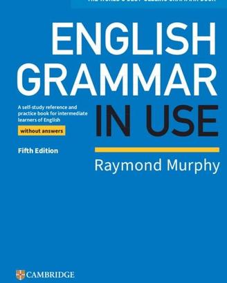 English Grammar in Use 5ED Without Answers