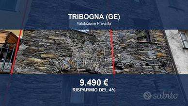 Immobile in asta di 149 m² a Tribogna