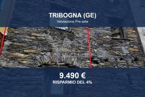 Immobile in asta di 149 m² a Tribogna