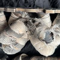 Abarth collettori a cuore