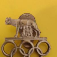 Lupa Olimpiadi del 1960