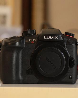 Panasonic GH5S + Battery Grip  + modulo XLR