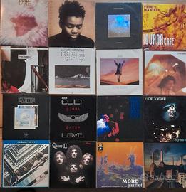 Vinili Chapman, P. Daniele, L. Zeppelin, Vasco ..