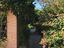 Immagine 12