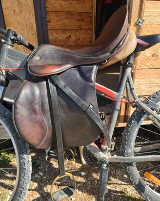 Sella inglese Prestige Appaloosa