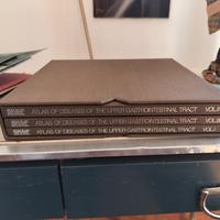 atlas of diseases of the upper gastrointestinal