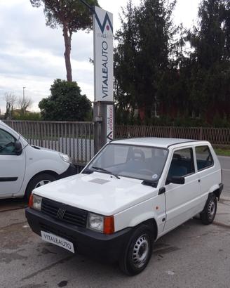 Fiat Panda 1100 i.e. cat Young