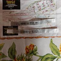 Pettorina concerto AC/DC Imola