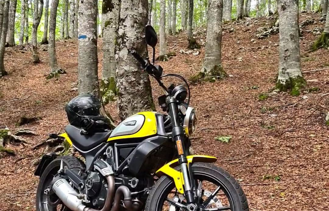 Ducati Scrambler Icon 2022 gialla