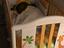 Immagine 3