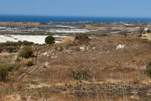 2 lotti di terreno