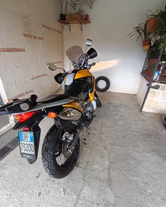 Transalp 29000 km 