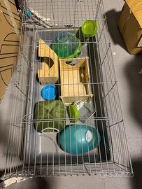 Gabbia roditori