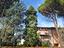 Immagine 8