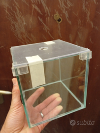 Cubi adatti hai betta