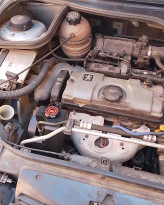 Peugeot 206 benzina cilindrata 1.1