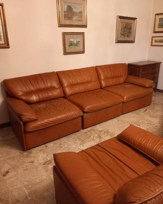 Divano e poltrone in pelle