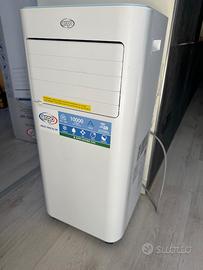 Pinguino condizionatore