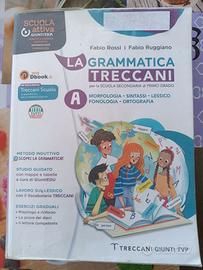 libro la grammatica treccani