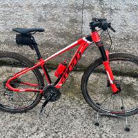 Mountain bike
