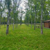 Pronti??.viaaaaaa.6000 mq di