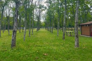 Pronti??.viaaaaaa.6000 mq di