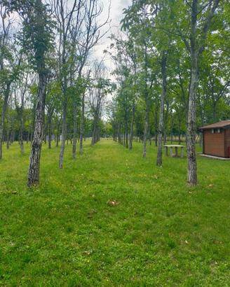 Pronti??.viaaaaaa.6000 mq di