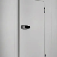 cella frigo bassa temperatura surgelati usata