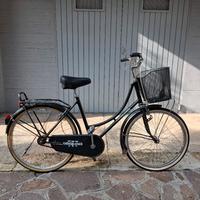 bicicletta da passeggio