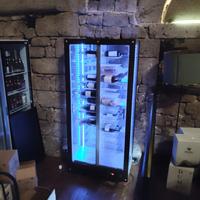 Cantinetta frigo verticale con illuminazione