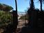 Immagine 11