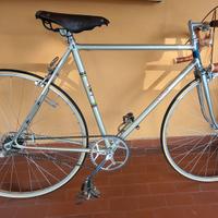 Frejus mod. Campione