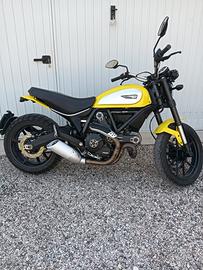 Ducati scrambler 800