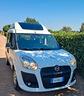 fiat-doblo-doblo-1-6-tetto-alto-trasporto-disabili