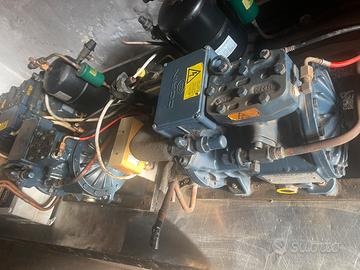 Compressore frigorifero