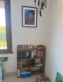 Libreria nuova