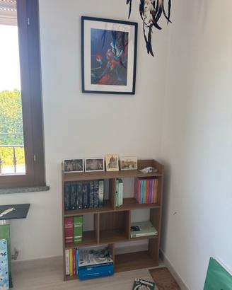 Libreria nuova