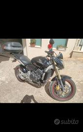 Honda Hornet