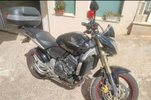 Honda Hornet