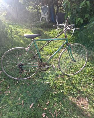 bici BARDINI