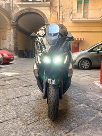 tmax 530 polacco