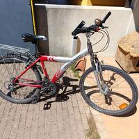 mountain bike ruote 26