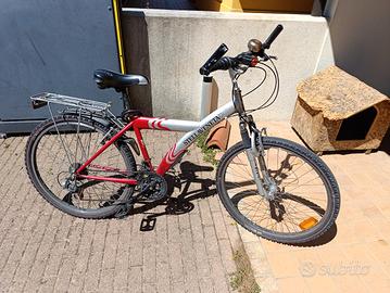 mountain bike ruote 26